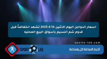 أسعار الدواجن اليوم الاثنين 14-4-2025 تشهد انخفاضاً قبل قدوم شم النسيم بأسواق البيع المحلية